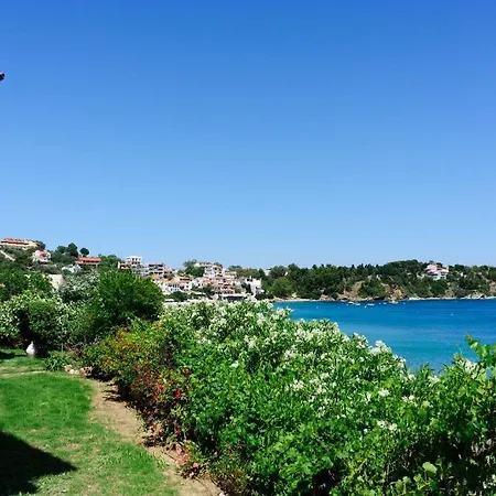 Aphrodite Skiathos 公寓 梅加利阿莫斯