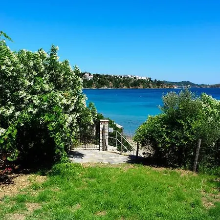 Aphrodite Skiathos Apartment Megali Ammos (Skiathos)