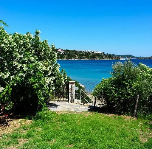 Aphrodite Skiathos Апартаменты Мегали-Аммос